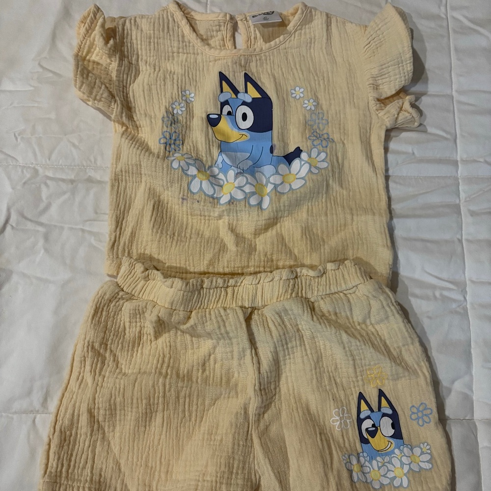 Bluey Girls Outfit